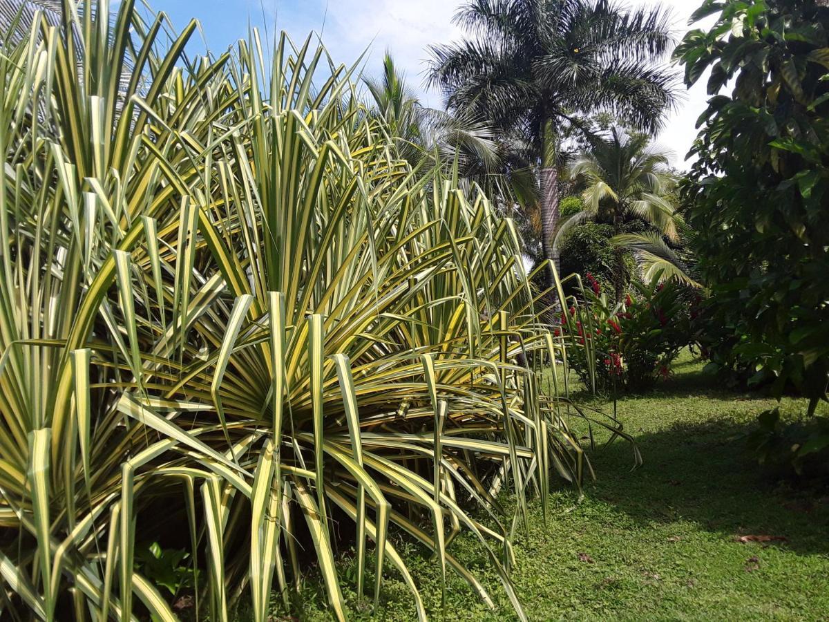 El Toucan Loco Floating Lodges Tierra Oscura Exterior photo