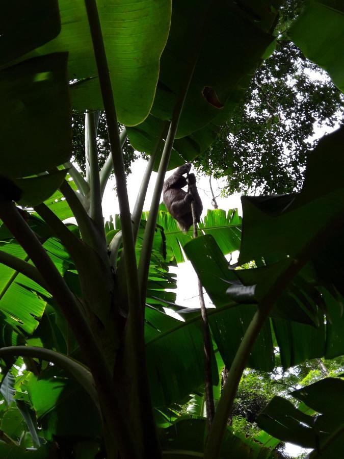 El Toucan Loco Floating Lodges Tierra Oscura Exterior photo